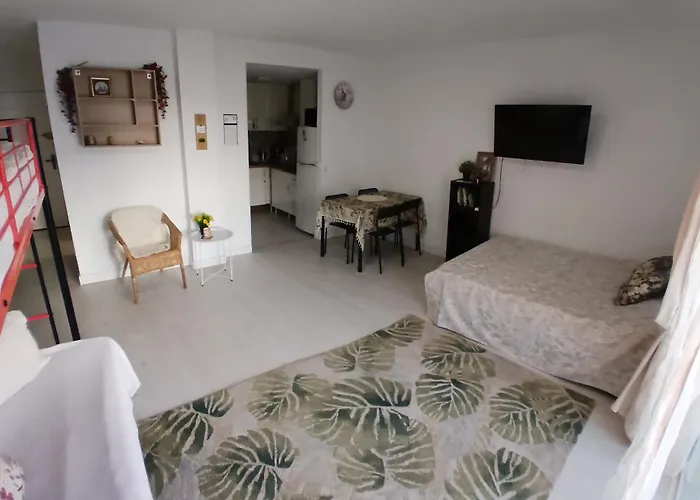 Grande Estudio La Sal * Torrevieja