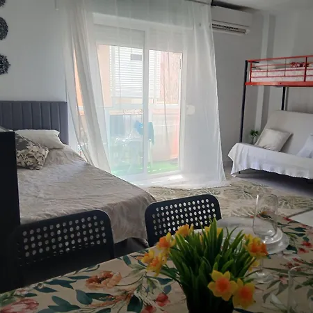 Grande Estudio La Sal 托雷维耶哈